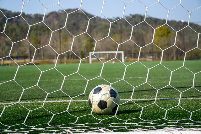 为他们的季 为他们的季