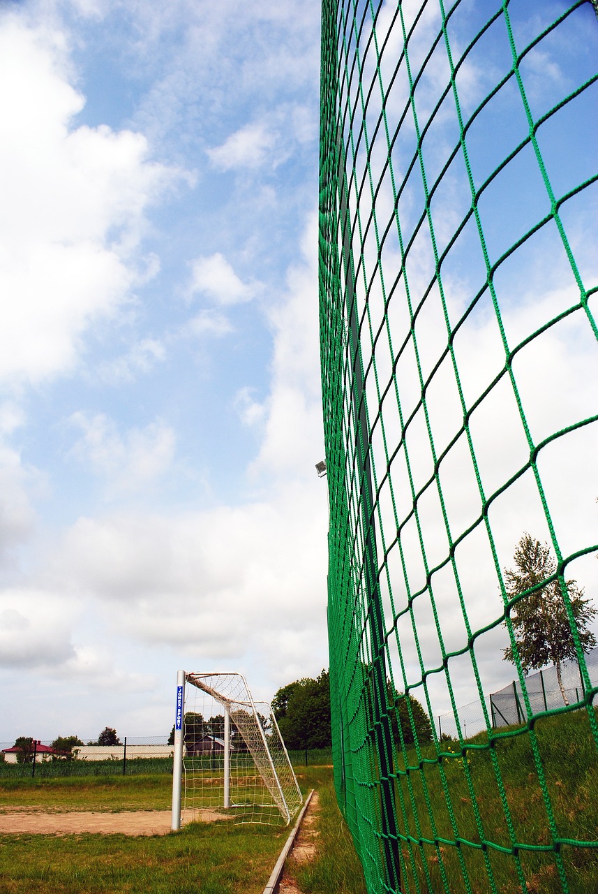 越来越多的 越来越多的